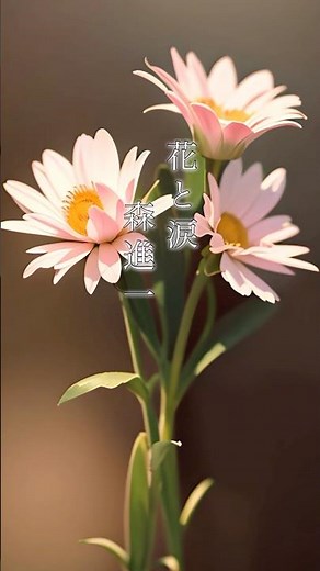 懐かしい曲『森進一 - 花と涙』懐メロ ショートMV作ってみた！#aiイラスト #shorts