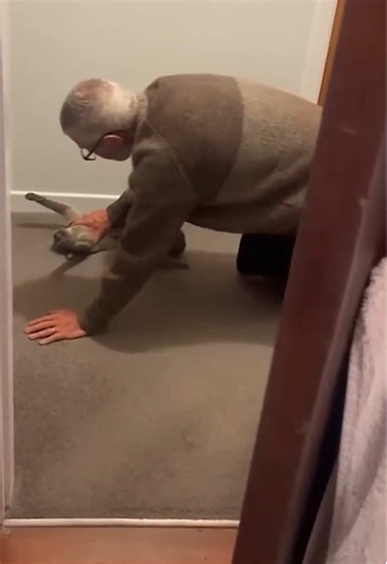 Hilarious Moments: Cats Playing with Their Owners