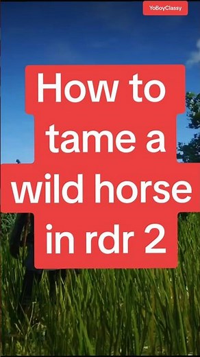 How To Tame A Wild Horse In RDR2 (Complete Guide/Tutorial/Steps)