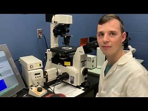 Nikon TE2000-U Inverted Microscope | MSU PHM/TOX Microscopy Core