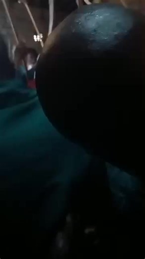 Mr.mathebula (@mr.mathebula)’s videos with original sound - Mr.mathebula