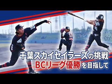 [The Chiba Sky Sailors' Challenge: Aiming for the BC League Championship]
