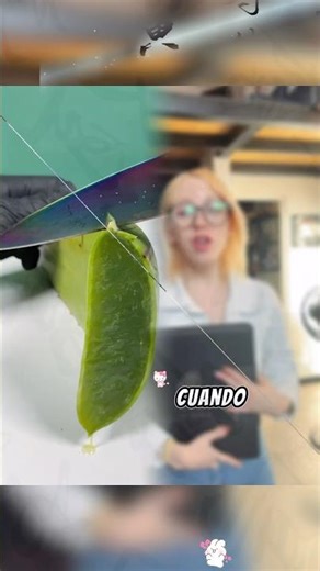 #humor #lifeisbutadream #funnyhumor #storytime #haveitoldyoulatelythatiloveyou #funnyjokes