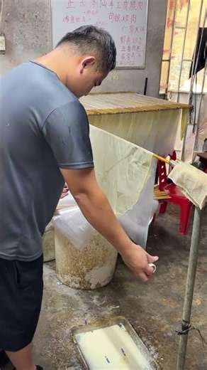Dried Tofu Skin / Yuba