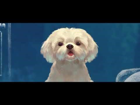 Opening Logos: Bluey the Movie (2027) (Fanmade)