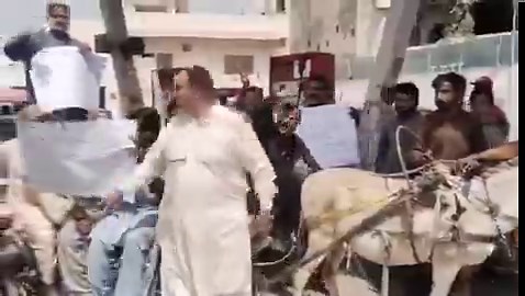 SHOCKER 🚨 Pakistani protesters rode donkeys to protest against rising petrol prices in Hyderabad, Pakistan 😭😅