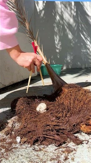 Desafio do Ovo Infinito🥚 | Bacalhau com Hashi Divertido!