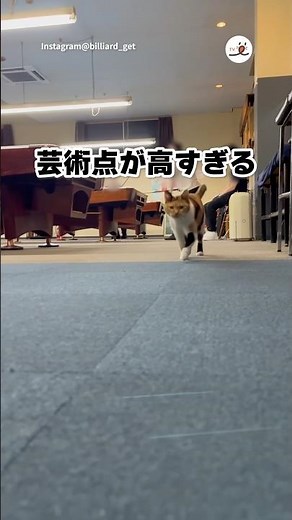 最高得点をつけたい｜PECO