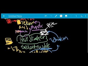 final revisions of practical medical Microbiology