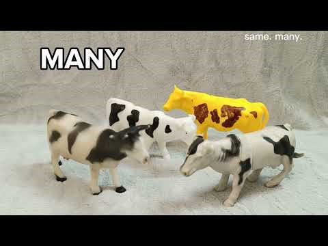 Same, Different, One & Many | Learning with Animal Toys