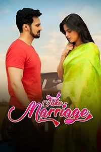 Fake Marriage - Movie