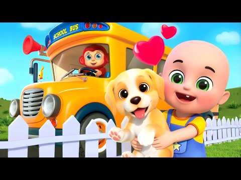 Baby Bingo Song New Compilation | Wheels On The Bus Song | Nursery Rhymes and Kids Songs | Bebe Bobo
