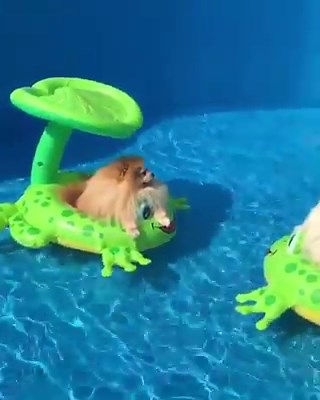 How do you spend your days? | SALTYDOG