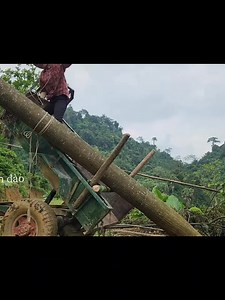 10K views · 34 reactions | Lady tractor driver working | Jcb Vlogs | Facebook