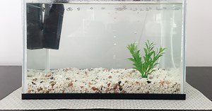 How to Safely Replace Aquarium Gravel
