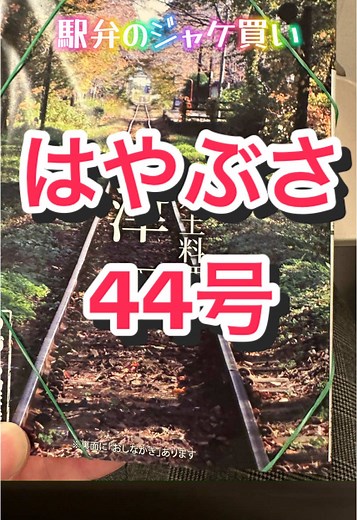 #東北新幹線 #はやぶさ #駅弁 #青森 #津軽 #芦野公園 #津軽鉄道 #青森駅 #新青森駅
