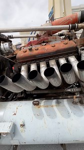 3.5K views · 28K reactions | @ratcity_rukkus @ratcityrukkus_official...