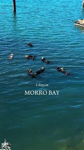 2 full days in Morro Bay and a lifetime of memories made. 💙 What’s your favorite activity in Morro Bay? | Morro Bay CA