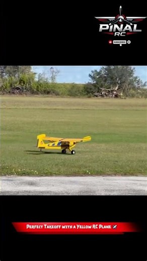 Perfect Takeoff with a Yellow RC Plane ✈️ #shorts