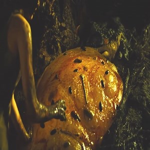 One of my favorite scene | Top Clips HD