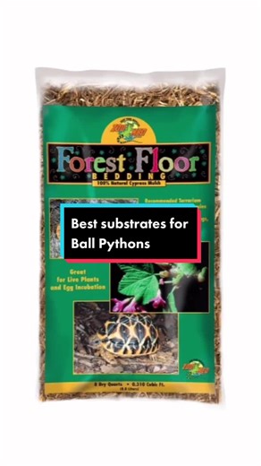 Expert Ball Python Substrate Advice and Shedding Tips
