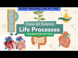 Transportation - Life Processes Class 10th Science NCERT Reading