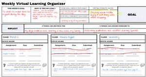 Virtual & Remote Learning Weekly Organizer: High School
