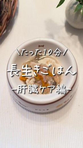 犬の健康を考えた手作りごはんレシピ