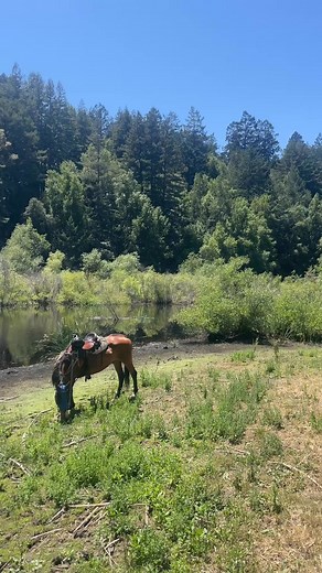 From shaded groves to sweeping views, the trail gives what you’re ready to see.#JackLondonPark #TrailViews #AdventureAwaits | Jack London State Historic Park
