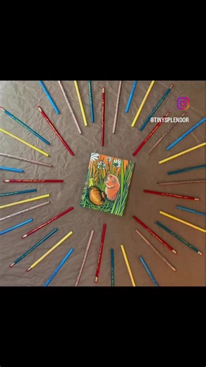 🌻pencil packs now up on splendormart.com amongst other goodies🌻