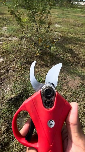 electric scissors easy use save time P2261 #tool | Louie Reid | Facebook