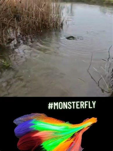 #pikemonster #monsterfly #fishhead #zsrooster #monster_fly @MDD FISHING TEAM @MDD FISHING TEAM