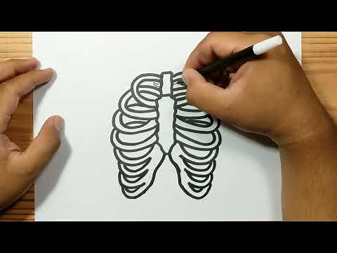 How to draw HUMAN RIB BONE easy