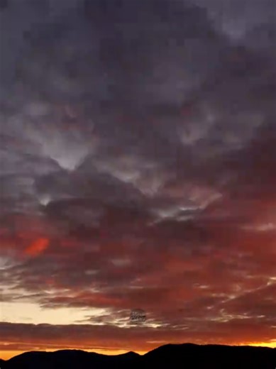 Sinfonía n.º 7 de Beethoven: Euforia y Ritmo