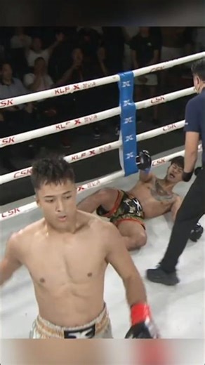 The ULTIMATE MMA Knockouts of All Time