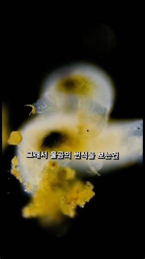 물곰의 허리가 활처럼 휘었다