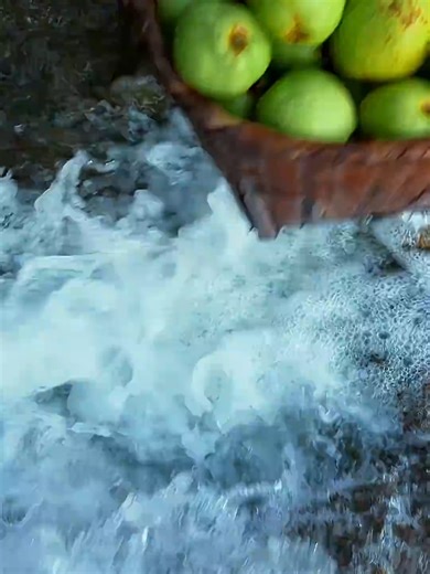 The 400-Year Legacy of Qingli Fang's Pear Paste