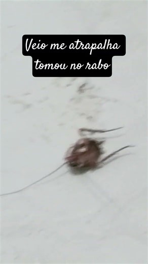 eu n tenho medo a 10 min gritei p uma ali no box entrou no ralo