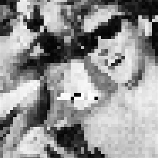 Karla Homolka: An Insight into True Crime Stories