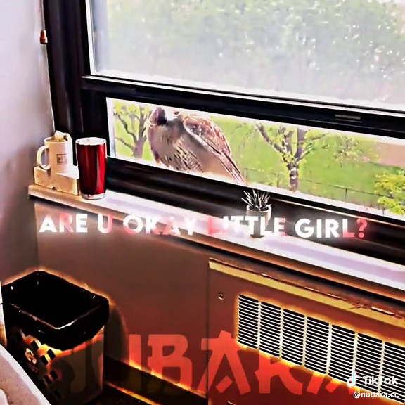 Eagle Scream Edit - Sound Effects Compilation