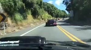 5.1K views · 191 reactions | Oh hey | Speedmagnet | Facebook