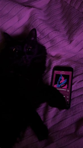 Exploring TV Girl: The Band and Their Musical Journey