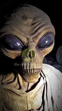 The Underground Temple Nobody Talks About #ancientegypt #storytime #lostcity