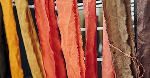 This mushroom atlas celebrates natural colors, possibilities of ‘flowers of the forest floor’