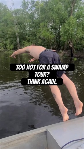 Summer may be the best time for a swamp tour