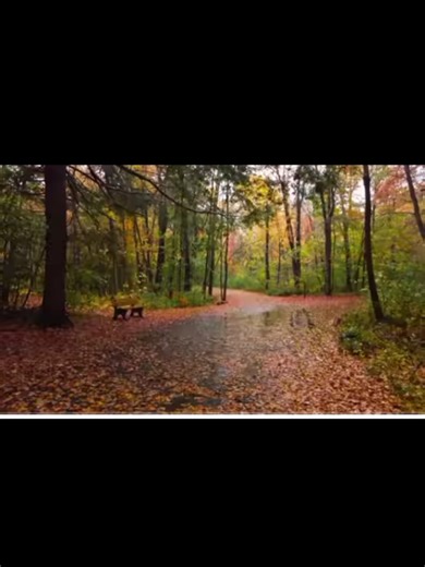 Energy doesn't lie 💪#fypage #hate #love