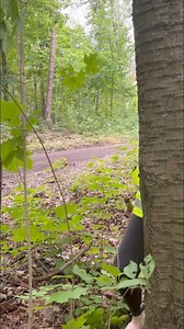 Aline Bachmann on Reels