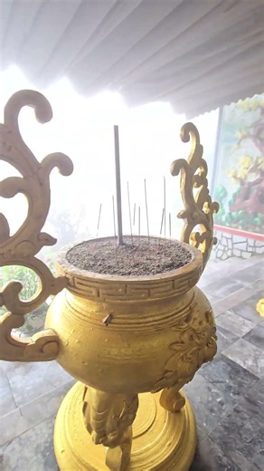 Be where you are, otherwise you will miss your life." — Buddha #vietnam #thuonglacngatinh