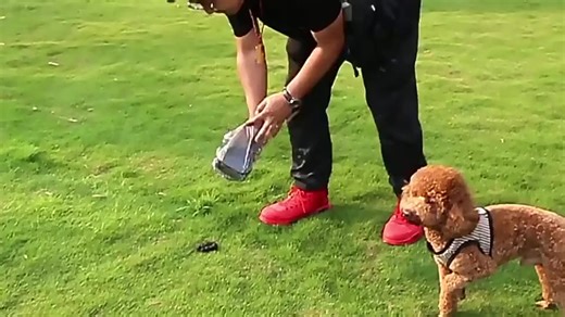 Custom Portable Poop Scooper for Dogs Plastic and Silicone Pet Cleaning Tool for Convenient Dog Waste Pick-Up