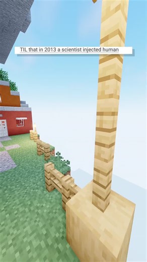 Story Time Crew on Instagram: "mouse is smarter than me?! 😭"